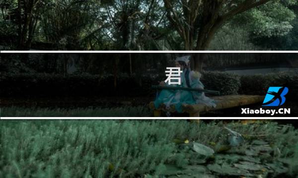 君 游戏攻略