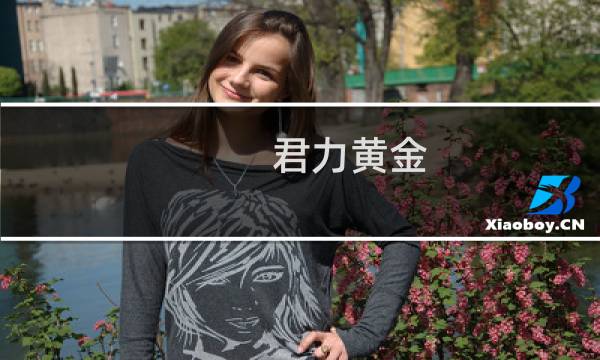 君力黄金 价格