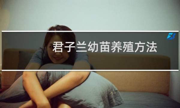 君子兰幼苗养殖方法