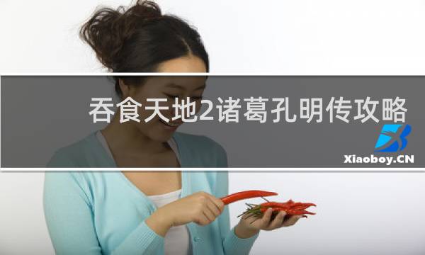 吞食天地2诸葛孔明传攻略