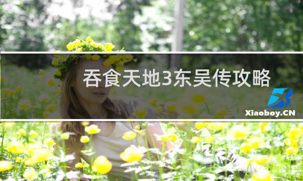 吞食天地3东吴传攻略