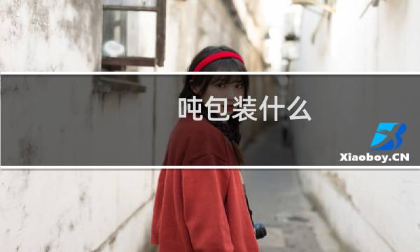 吨包装什么