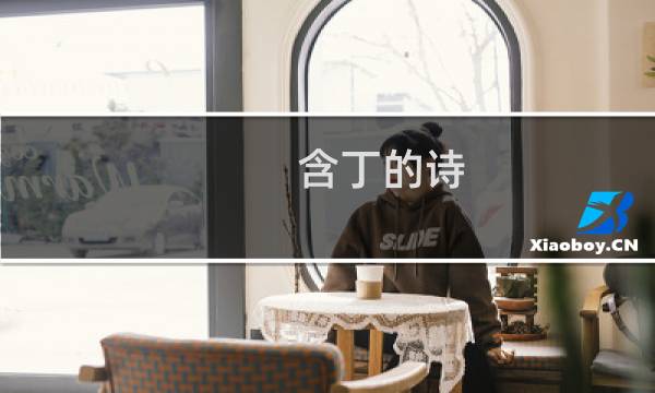 含丁的诗