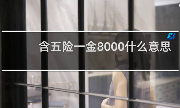 含五险一金8000什么意思