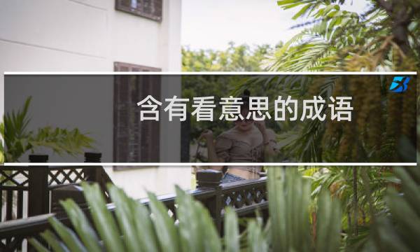 含有看意思的成语