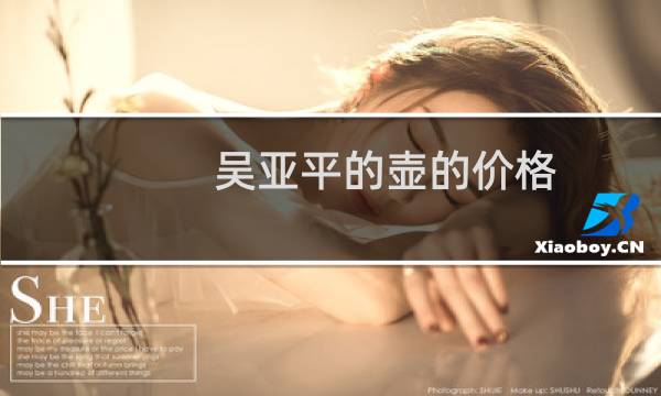 吴亚平的壶的价格