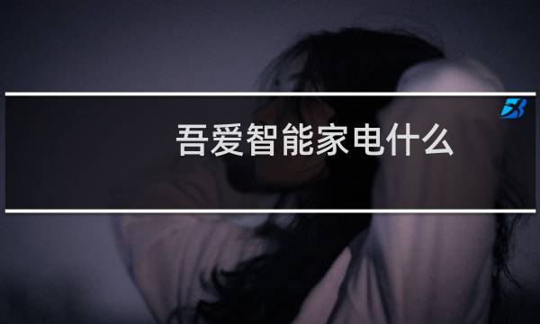 吾爱智能家电什么