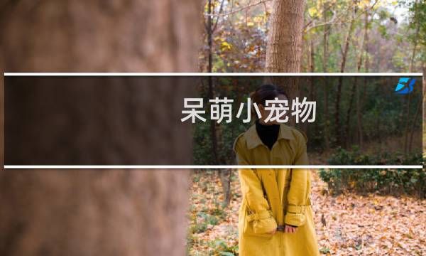 呆萌小宠物 攻略