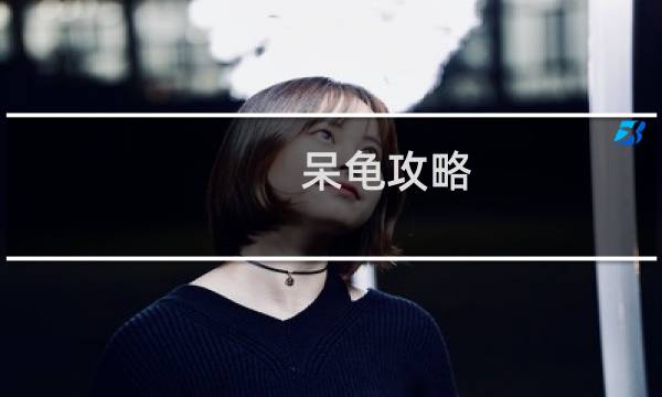 呆龟攻略