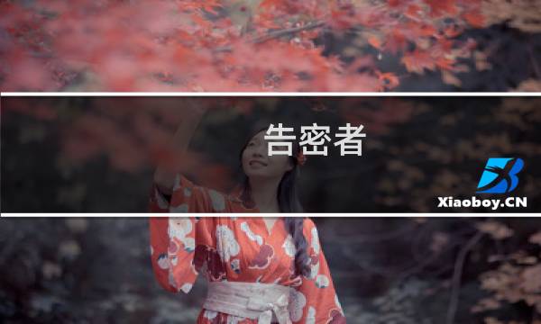 告密者 攻略