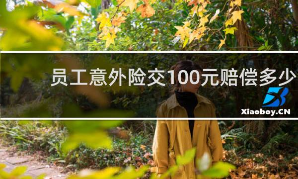 员工意外险交100元赔偿多少