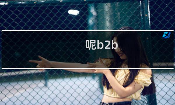 呢b2b