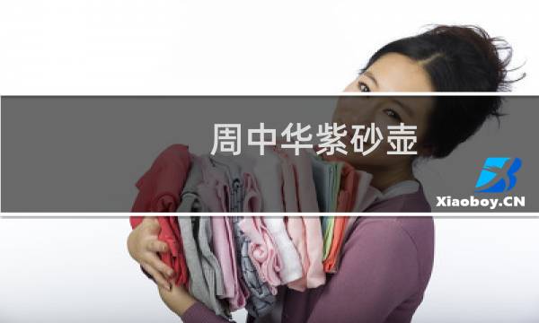 周中华紫砂壶 价格