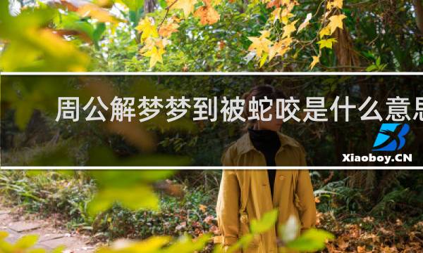 周公解梦梦到被蛇咬是什么意思