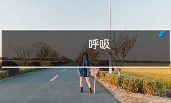 呼吸 攻略