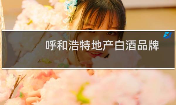 呼和浩特地产白酒品牌