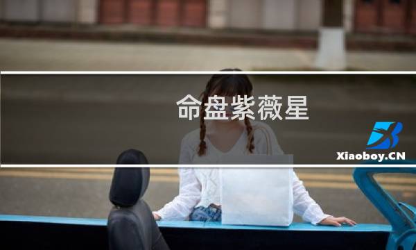 命盘紫薇星