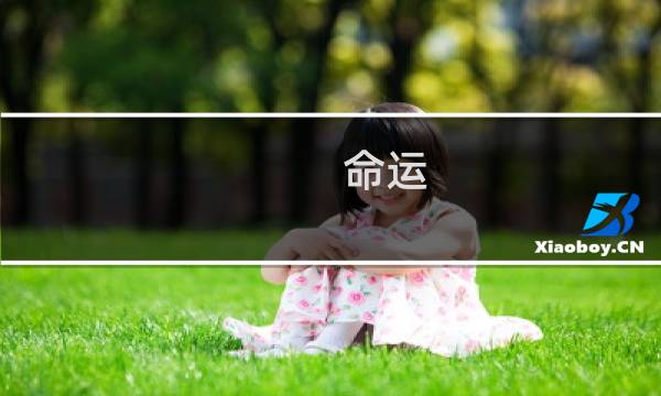 命运 圣诞攻略