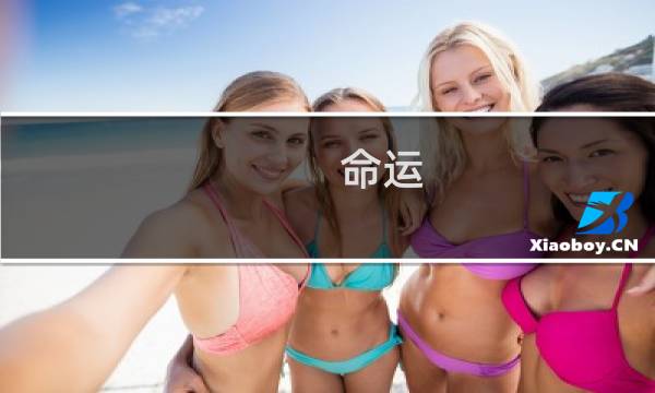 命运 指定攻略