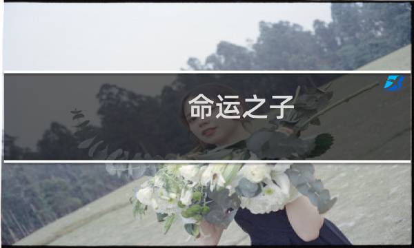 命运之子 登录攻略