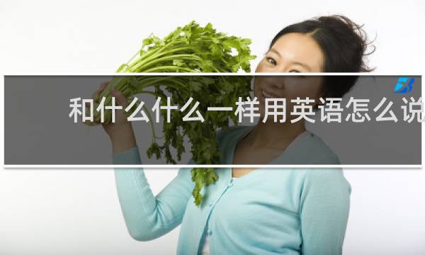 和什么什么一样用英语怎么说