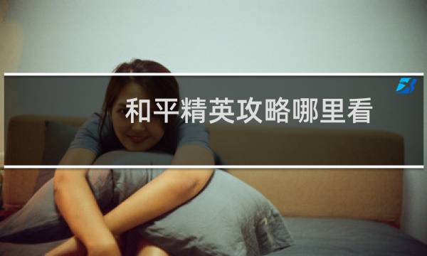 和平精英攻略哪里看