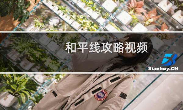 和平线攻略视频