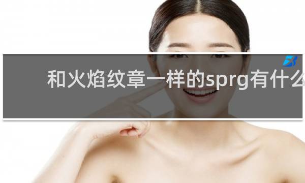 和火焰纹章一样的sprg有什么