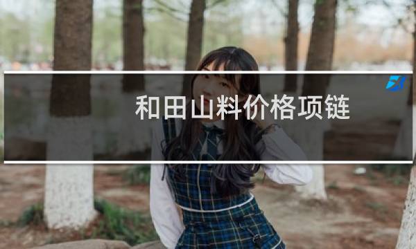 和田山料价格项链
