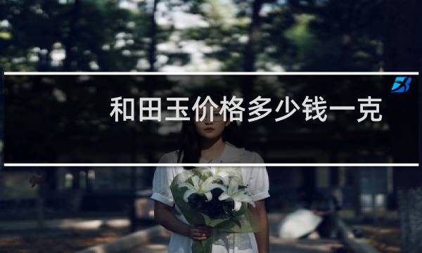 和田玉价格多少钱一克