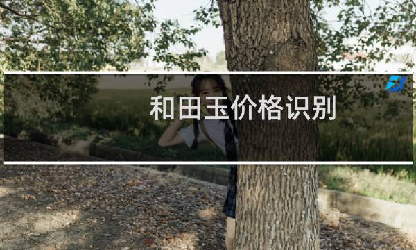 和田玉价格识别
