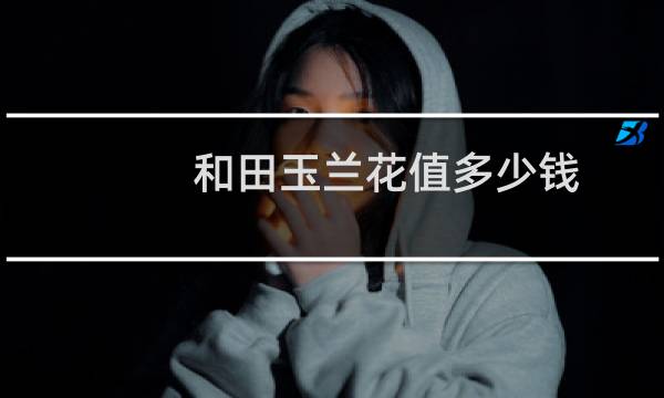 和田玉兰花值多少钱
