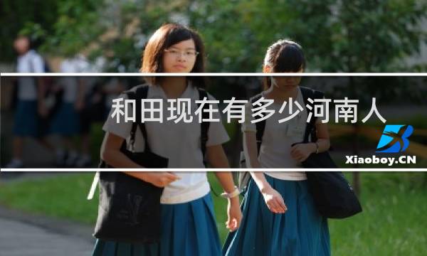 和田现在有多少河南人