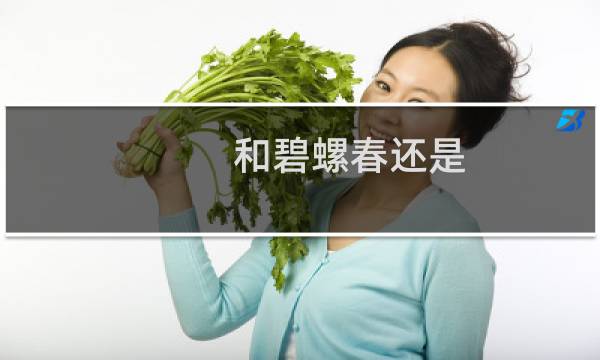 和碧螺春还是