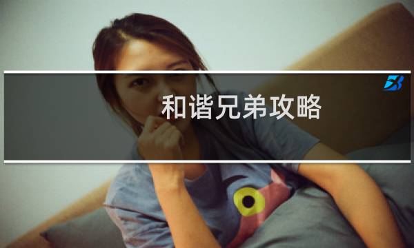 和谐兄弟攻略