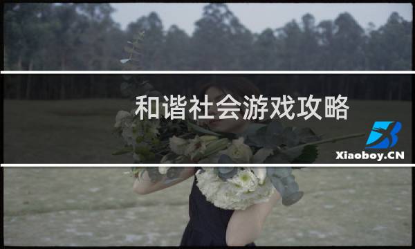 和谐社会游戏攻略
