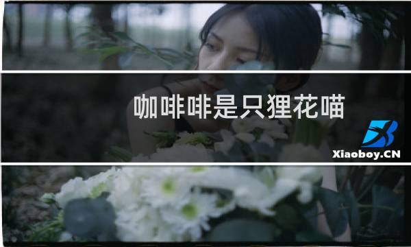 咖啡啡是只狸花喵(攒钱版)
