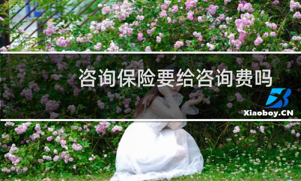 咨询保险要给咨询费吗