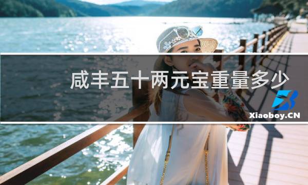 咸丰五十两元宝重量多少
