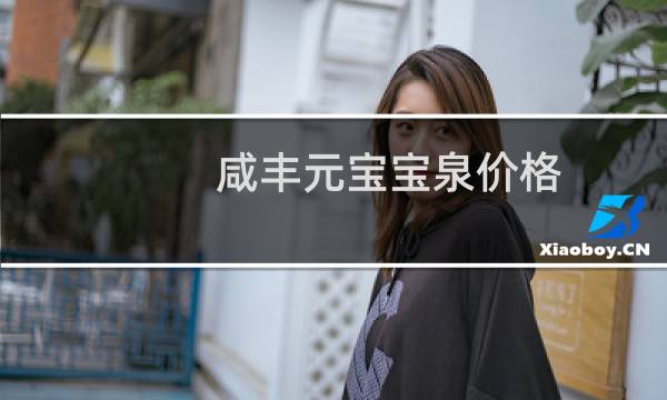 咸丰元宝宝泉价格