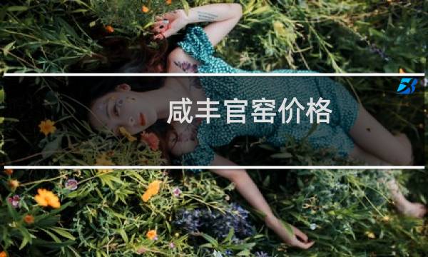 咸丰官窑价格