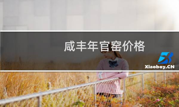 咸丰年官窑价格