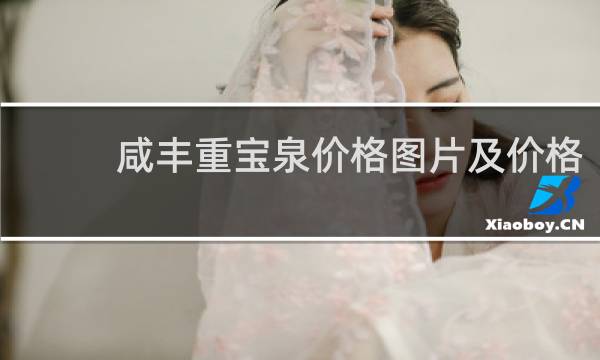 咸丰重宝泉价格图片及价格