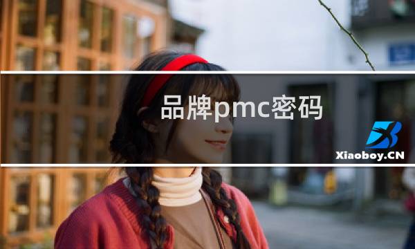 品牌pmc密码