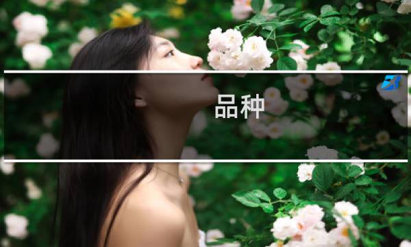 品种 价格牌