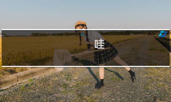 哇 攻略 抽奖