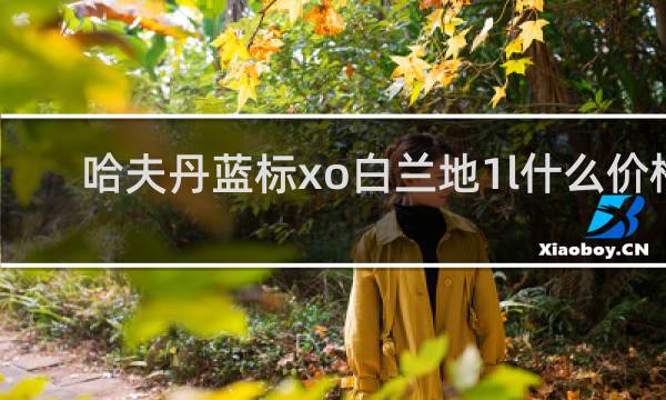 哈夫丹蓝标xo白兰地1l什么价格