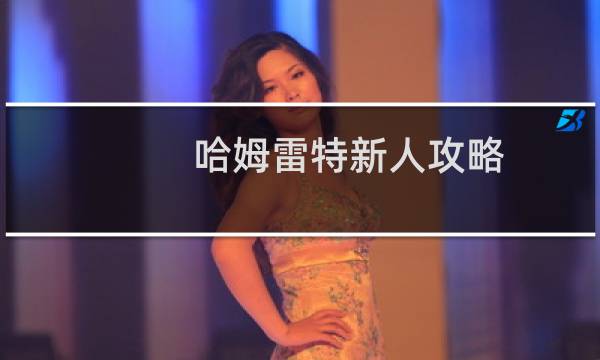 哈姆雷特新人攻略