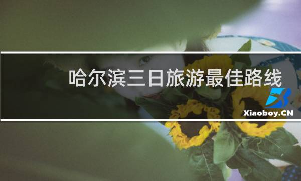 哈尔滨三日旅游最佳路线