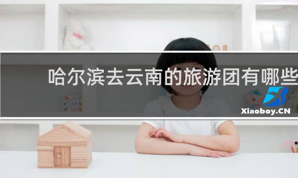 哈尔滨去云南的旅游团有哪些